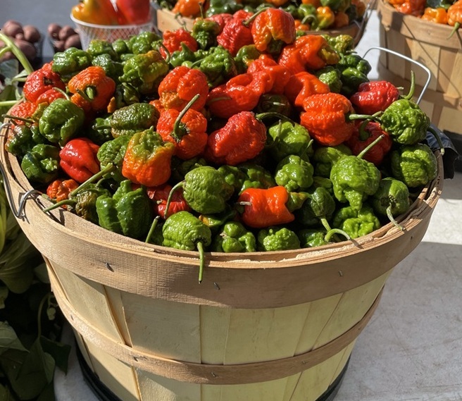 Carolina Reaper