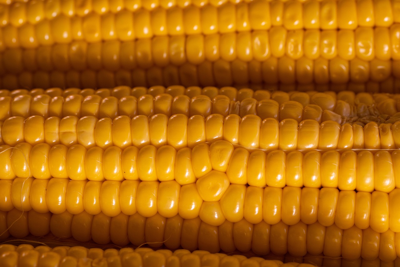 Corn