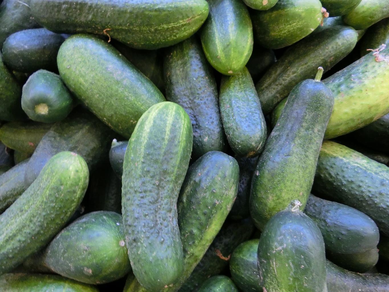 Cucumbers