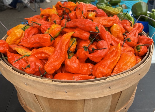 Ghost Pepper
