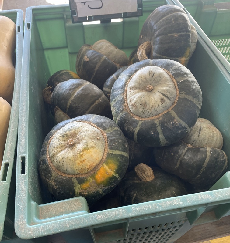Squash