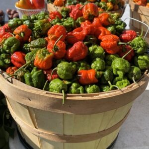 Carolina Reapers