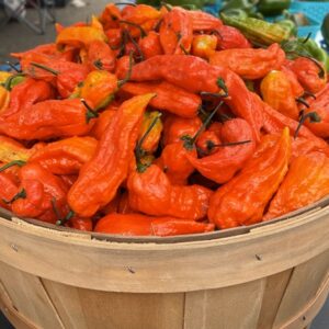 Ghost Peppers