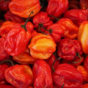 Habanero